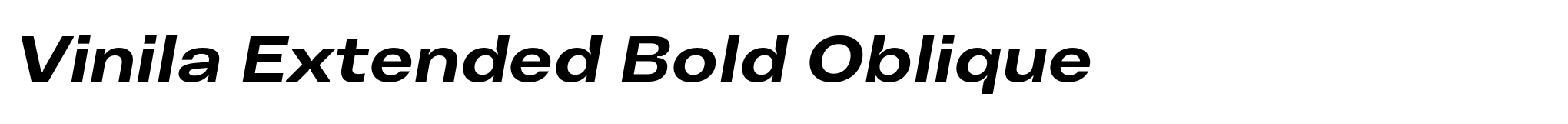 Vinila Extended Bold Oblique image